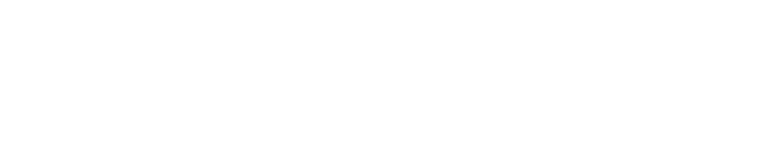 WeWiise
